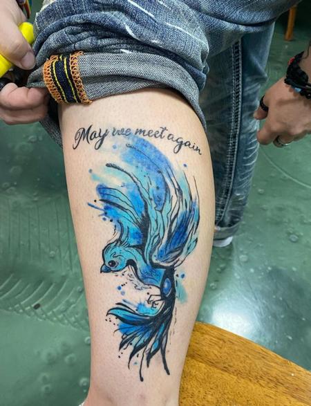 Tattoos - water colored bird  - 144010